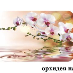 БОСТОН - 2 опоры Брифинг в Челябинске - chelyabinsk.mebel24.online | фото 4