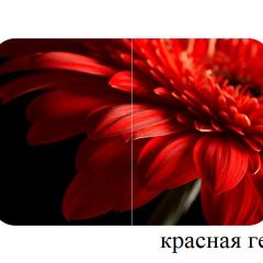 БОСТОН - 2 опоры Триумф в Челябинске - chelyabinsk.mebel24.online | фото 50