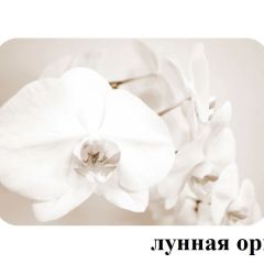 БОСТОН опоры Брифинг в Челябинске - chelyabinsk.mebel24.online | фото 18