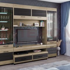 Гостиная Камелия Композиция 11 (Гикори Джексон светлый комбинированный) в Челябинске - chelyabinsk.mebel24.online | фото