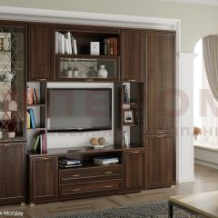 Гостиная Карина Композиция 2 (Акация Молдау) в Челябинске - chelyabinsk.mebel24.online | фото