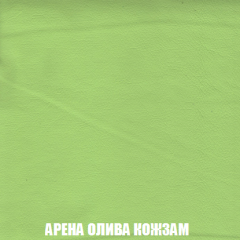 Кресло-кровать Акварель 1 (ткань до 300) БЕЗ Пуфа в Челябинске - chelyabinsk.mebel24.online | фото 19