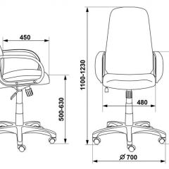 Кресло руководителя Бюрократ CH-808AXSN/TW-12 серый в Челябинске - chelyabinsk.mebel24.online | фото 3