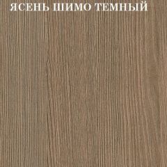 Кровать 2-х ярусная с диваном Карамель 75 (Музыка) Ясень шимо светлый/темный в Челябинске - chelyabinsk.mebel24.online | фото 5