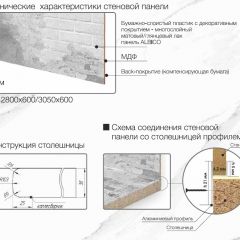 Кухонный фартук со столешницей (А-011) в едином стиле (3050 мм) в Челябинске - chelyabinsk.mebel24.online | фото 7