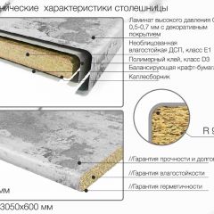 Кухонный фартук со столешницей (А-012) в едином стиле (3050 мм) в Челябинске - chelyabinsk.mebel24.online | фото 6