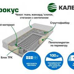 Матрас Крокус Хлопок (h190) серия Калверо в Челябинске - chelyabinsk.mebel24.online | фото