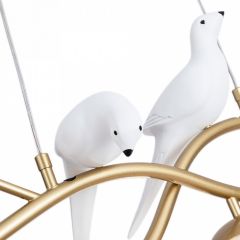 Подвесной светильник Arte Lamp Eltanin A3422SP-4GO в Челябинске - chelyabinsk.mebel24.online | фото 4