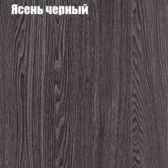 Прихожая ДИАНА-4 сек №10 (Ясень анкор/Дуб эльза) в Челябинске - chelyabinsk.mebel24.online | фото 3