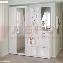 Прихожая Карина (модульная) в Челябинске - chelyabinsk.mebel24.online | фото 3