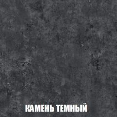 Шкаф 2-х створчатый МСП-1 (Дуб Золотой/Камень темный) в Челябинске - chelyabinsk.mebel24.online | фото 5