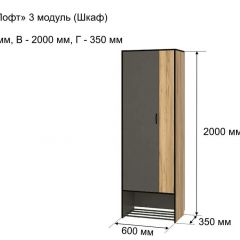 ОЛЬГА-ЛОФТ 3 Шкаф 2-х створчатый в Челябинске - chelyabinsk.mebel24.online | фото 4