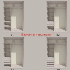 Шкаф-купе 1300 серии SILVER S1+S1+B2+PL2 (2 ящика+1 штанга+1 полка) профиль «Серебро» в Челябинске - chelyabinsk.mebel24.online | фото 5