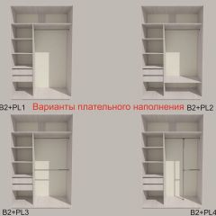 Шкаф-купе 1300 серии SILVER S1+S1+B2+PL2 (2 ящика+1 штанга+1 полка) профиль «Серебро» в Челябинске - chelyabinsk.mebel24.online | фото 6