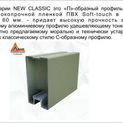 Шкаф-купе 1500 серии NEW CLASSIC K6Z+K6+B2+PL3 (2 ящика+2 штанги) профиль «Капучино» в Челябинске - chelyabinsk.mebel24.online | фото 17