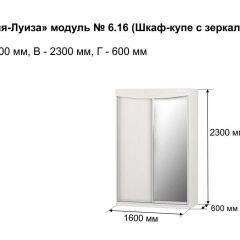Шкаф-купе 1600 с зеркалом "Мария-Луиза 6.16" в Челябинске - chelyabinsk.mebel24.online | фото 4