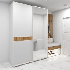 Шкаф-купе 1600 серии SOFT D6+D4+B2+PL2 (2 ящика+1штанга+1 полка) профиль «Капучино» в Челябинске - chelyabinsk.mebel24.online | фото 5