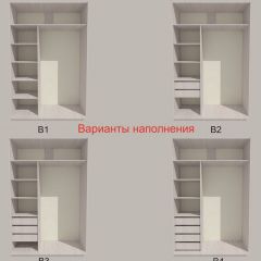 Шкаф-купе 1700 серии SILVER S3+S4+B2+PL4 (2 ящика+F обр.штанга) профиль «Серебро» в Челябинске - chelyabinsk.mebel24.online | фото 5