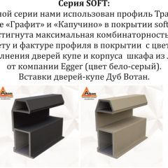 Шкаф-купе 2100 серии SOFT D5+D4+D5+B22+PL3 (по 2 ящика лев/прав+2штанги) профиль «Графит» в Челябинске - chelyabinsk.mebel24.online | фото 12