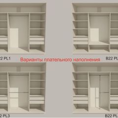 Шкаф-купе 2100 серии SOFT D5+D5+D5+B22+PL4 (по 2 ящика лев/прав+2штанги) профиль «Графит» в Челябинске - chelyabinsk.mebel24.online | фото 4