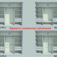 Шкаф-купе 2250 серии SILVER S3+S1+S3Z B22+PL2 (по 2 ящика лев/прав+1штанга+1 полка) профиль «Серебро» в Челябинске - chelyabinsk.mebel24.online | фото 6