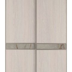 Шкаф-купе 2250 серии SILVER S3+S1+S3Z B22+PL2 (по 2 ящика лев/прав+1штанга+1 полка) профиль «Серебро» в Челябинске - chelyabinsk.mebel24.online | фото 13