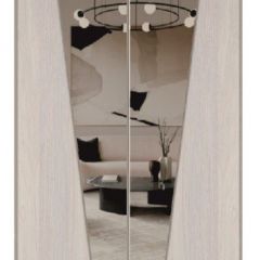 Шкаф-купе 2250 серии SILVER S3+S1+S3Z B22+PL2 (по 2 ящика лев/прав+1штанга+1 полка) профиль «Серебро» в Челябинске - chelyabinsk.mebel24.online | фото 15