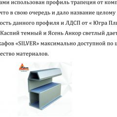 Шкаф-купе 2250 серии SILVER S7+S1+S7Z B22+PL1 (по 2 ящика лев/прав+1штанга) профиль «Серебро» в Челябинске - chelyabinsk.mebel24.online | фото 4