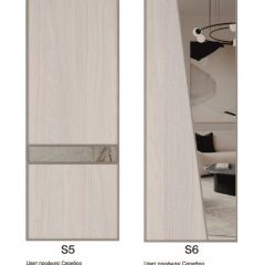 Шкаф-купе 2250 серии SILVER S7+S1+S7Z B22+PL1 (по 2 ящика лев/прав+1штанга) профиль «Серебро» в Челябинске - chelyabinsk.mebel24.online | фото 14