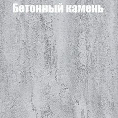 Шкаф-купе Бассо 1.0 (Дуб Крафт серый/Бетонный камень) 2 двери ЛДСП в Челябинске - chelyabinsk.mebel24.online | фото 3