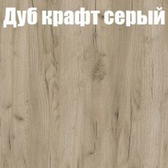 Шкаф-купе Бассо 1.0 (Дуб Крафт серый/Бетонный камень) 2 двери ЛДСП в Челябинске - chelyabinsk.mebel24.online | фото 4