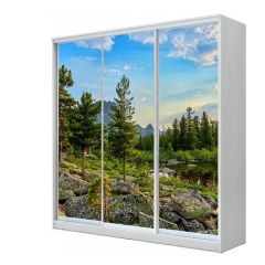 Шкаф-купе ХИТ 23-20/2-777 (620) в Челябинске - chelyabinsk.mebel24.online | фото
