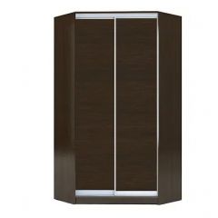 Шкаф-купе ХИТ-У-L-23-64-11 в Челябинске - chelyabinsk.mebel24.online | фото