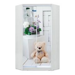 Шкаф-купе ХИТ-У-R-23-64-77 в Челябинске - chelyabinsk.mebel24.online | фото