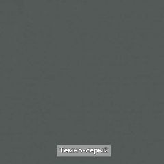 Шкаф угловой без зеркала "Ольга-Лофт 9.1" в Челябинске - chelyabinsk.mebel24.online | фото 6