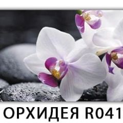 Стол раздвижной Бриз лайм R156 Орхидея R041 в Челябинске - chelyabinsk.mebel24.online | фото 33