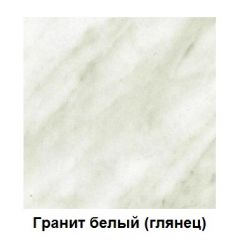 Столешница 1000*26*600 в Челябинске - chelyabinsk.mebel24.online | фото