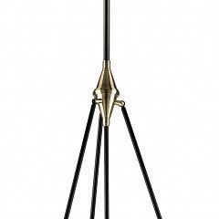Светильник на штанге Lightstar Modena 816047 в Челябинске - chelyabinsk.mebel24.online | фото