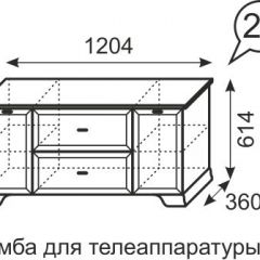 Тумба для телеаппаратуры Венеция 21 бодега в Челябинске - chelyabinsk.mebel24.online | фото 3