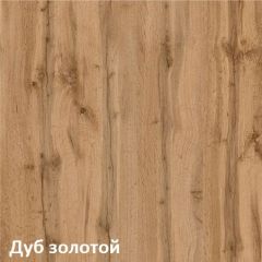 Вуди Шкаф для одежды 13.138 в Челябинске - chelyabinsk.mebel24.online | фото 4
