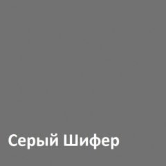 Юнона Шкаф торцевой 13.221 в Челябинске - chelyabinsk.mebel24.online | фото 2