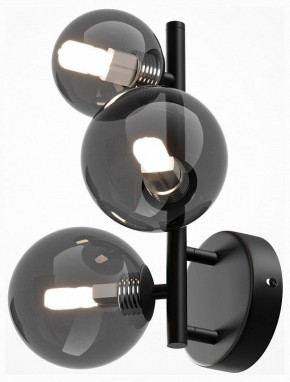 Бра Maytoni Dallas MOD545WL-03B в Челябинске - chelyabinsk.mebel24.online | фото 2