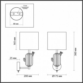 Бра Odeon Light Cactus 5425/1W в Челябинске - chelyabinsk.mebel24.online | фото 5