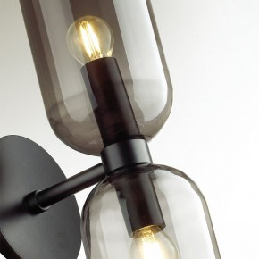 Бра Odeon Light Orinoco 4804/2W в Челябинске - chelyabinsk.mebel24.online | фото 4