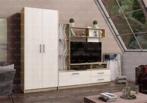 ДАРЬЯ Гостиная (Крафт серый/Крафт белый) в Челябинске - chelyabinsk.mebel24.online | фото