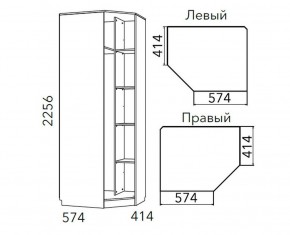 Детская Фанк Шкаф угловой Левый/Правый НМ 013.04-02 М в Челябинске - chelyabinsk.mebel24.online | фото 3