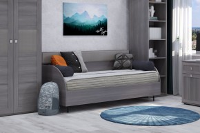 Диван-кровать 900 Парма Нео в Челябинске - chelyabinsk.mebel24.online | фото 4