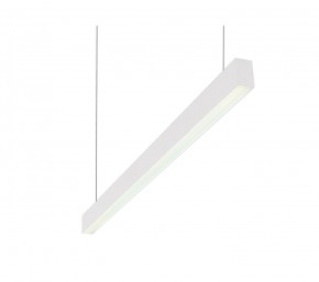 DK9124-WH Линейный светильник 30W 1250mm 4000K, белый в Челябинске - chelyabinsk.mebel24.online | фото 1