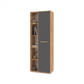 ФЛОРИДА Ф12 Шкаф-стеллаж (дуб золотой/графит) в Челябинске - chelyabinsk.mebel24.online | фото