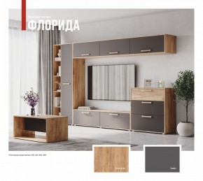 ФЛОРИДА Гостиная (модульная) дуб золотой/графит в Челябинске - chelyabinsk.mebel24.online | фото